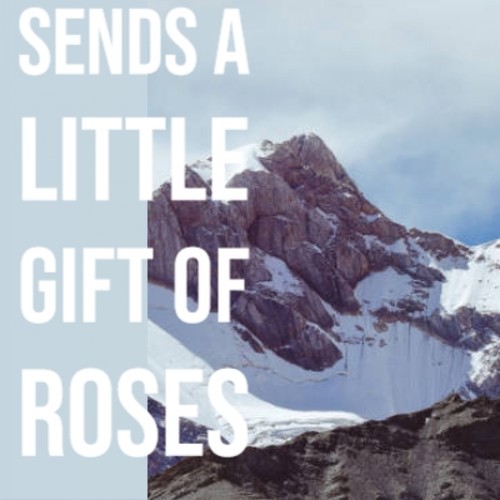 Love Sends A Little Gift Of Roses