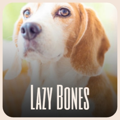 Lazy Bones