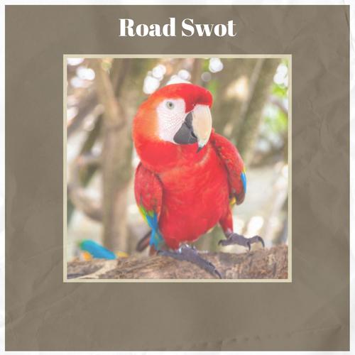 Road Swot