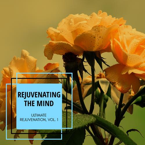 Rejuvenating The Mind - Ultimate Rejuvenation, Vol. 1