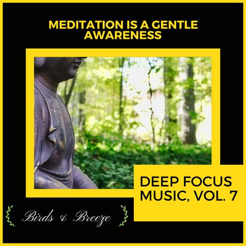 Meditation Is A Gentle Awareness - Deep Focus Music, Vol. 7