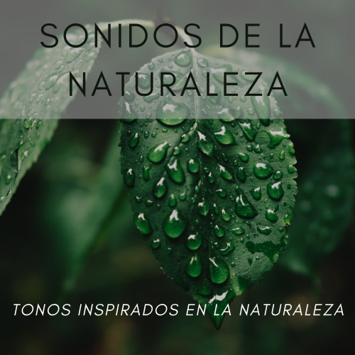 Sonidos De La Naturaleza: Tonos Inspirados En La Naturaleza