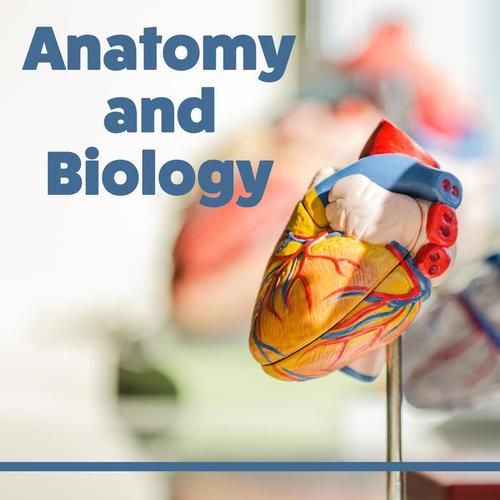 Anatomy and Biology - Learning Together, Best Time to Learn, Interesting Rhythms, Music for Concentration, Focus and Learn