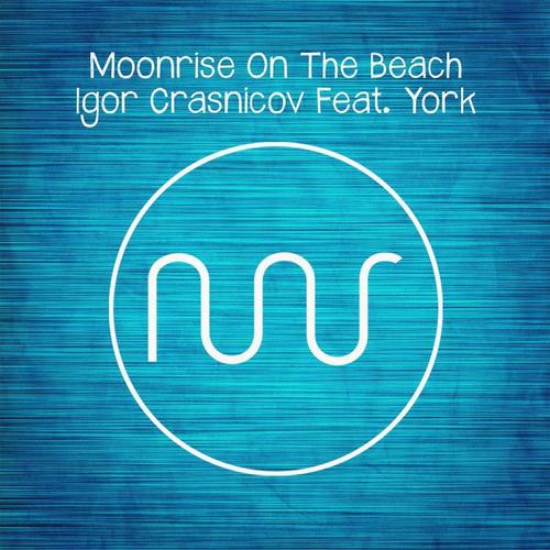 Moonrise On The Beach