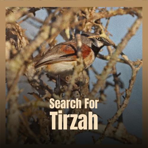 Search For Tirzah