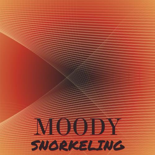 Moody Snorkeling