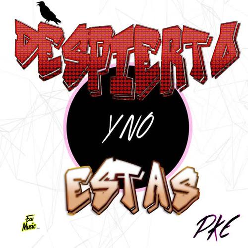 Despierto Y No Estas (Explicit)