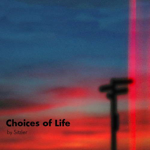 Choices of Life