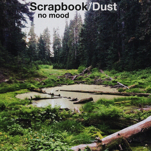 Scrapbook/Dust