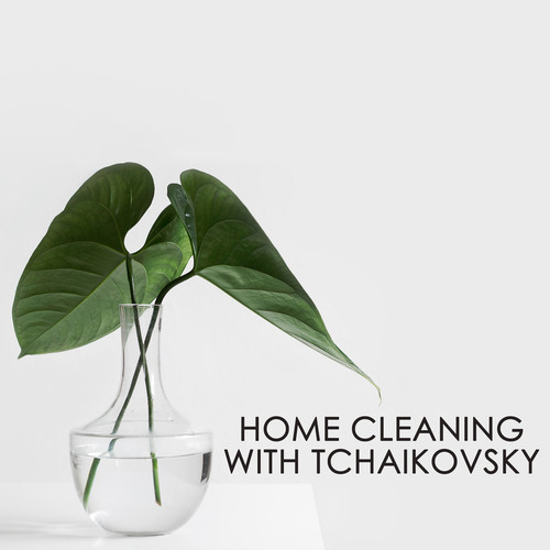 Home cleaning with Tchikovsky