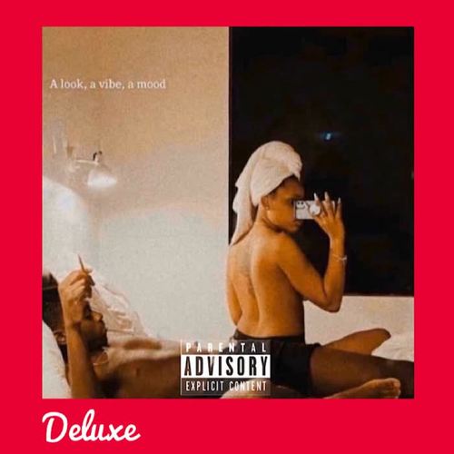 A Look A Mood A Vibe (Deluxe) [Explicit]