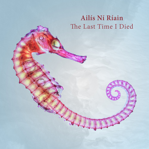 Ailís Ní Ríain: The Last Time I Died