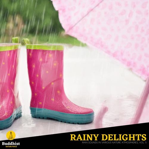 Rainy Delights - Rain Sounds in various Nature Atmospheres, Vol. 5