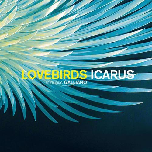 Icarus