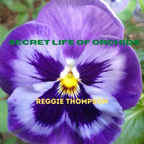 secret life of orchids