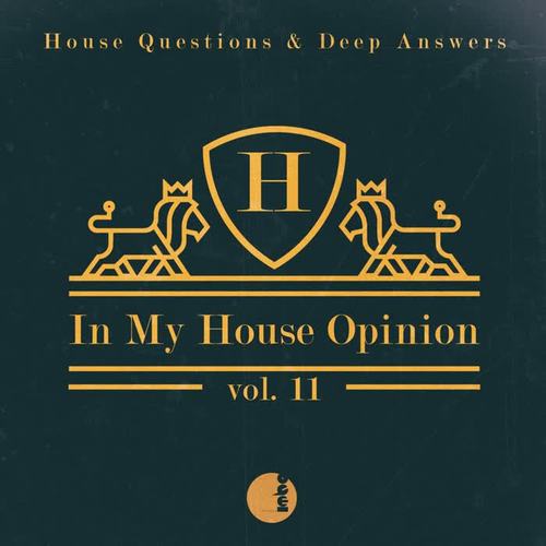 In My House Opinion, Vol. 11 (House Questions & Deep Answers)