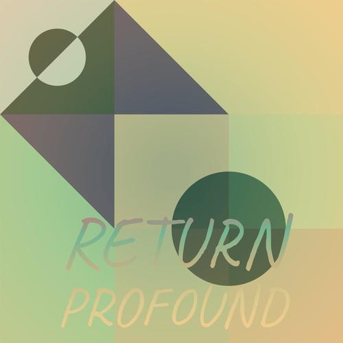 Return Profound