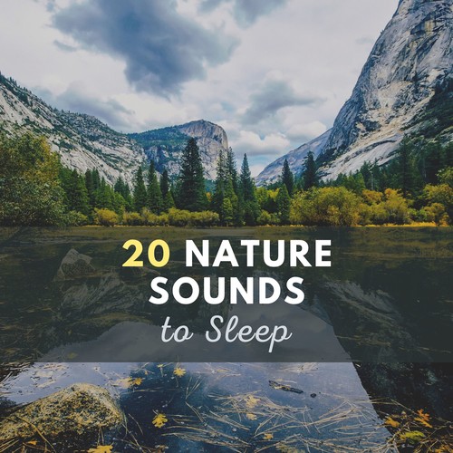 20 Nature Sounds to Sleep