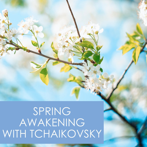 Spring Awakening with Tchaikovsky