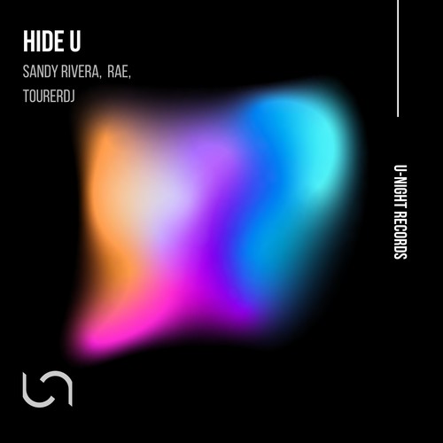 Hide U (Tourerdj Mix)