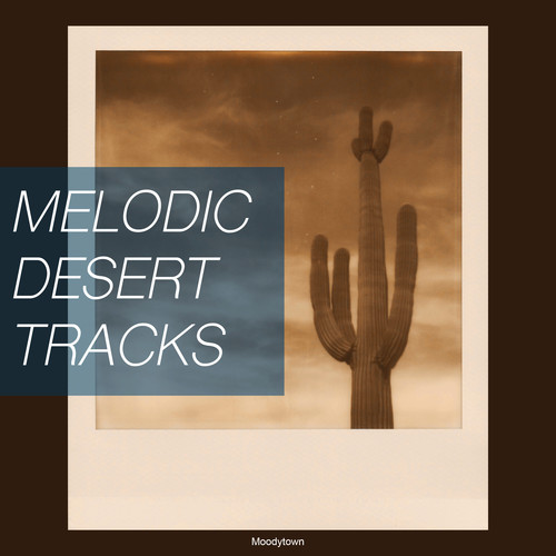 Melodic Desert Tracks