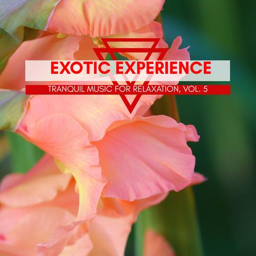 Exotic Experience - Tranquil Music For Relaxation, Vol. 5