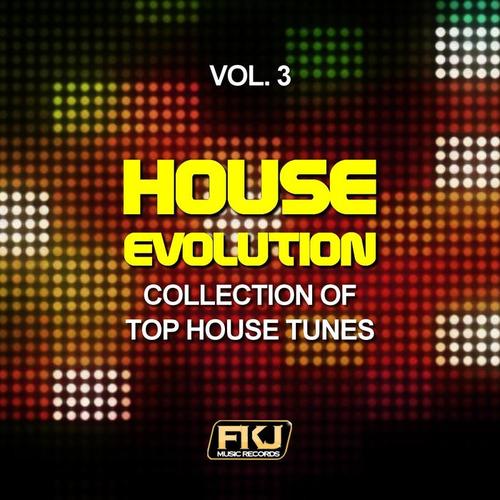 House Evolution, Vol. 3 (Collection of Top House Tunes)