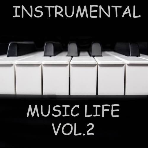 Instrumental Music Life vol.2