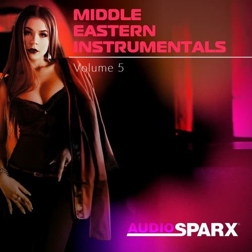 Middle Eastern Instrumentals Volume 5