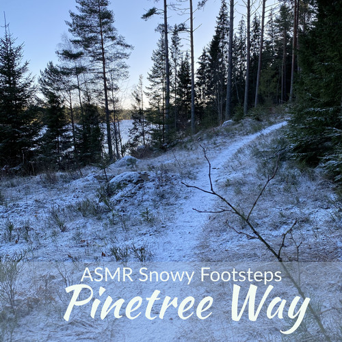 ASMR Snowy Footsteps