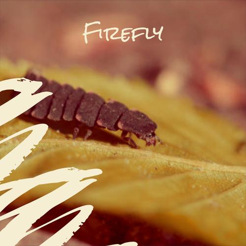 Firefly