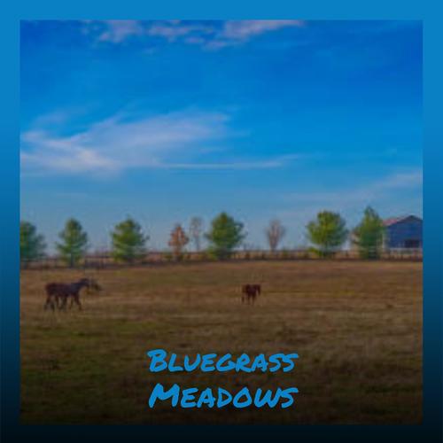 Bluegrass Meadows