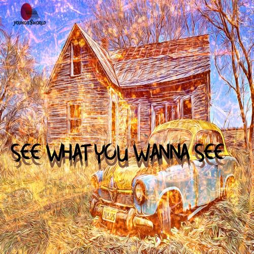 See What You Wanna See (Explicit)