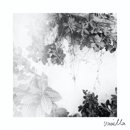 Vanilla