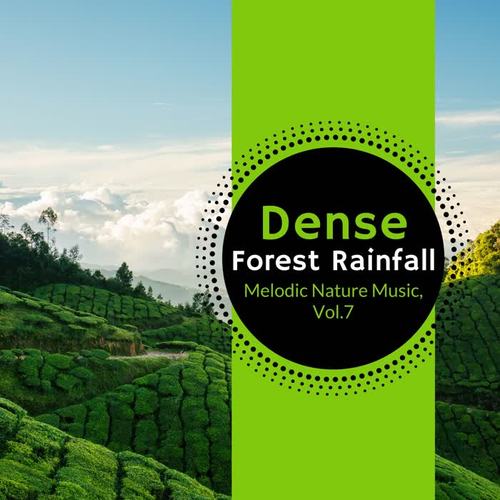 Dense Forest Rainfall - Melodic Nature Music, Vol.7