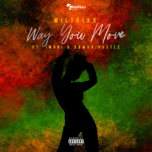 Way You Move (Explicit)