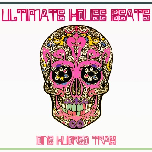 Ultimate House Beats (100 Trax Edition)