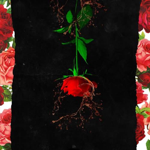 Cognac & Roses (Explicit)