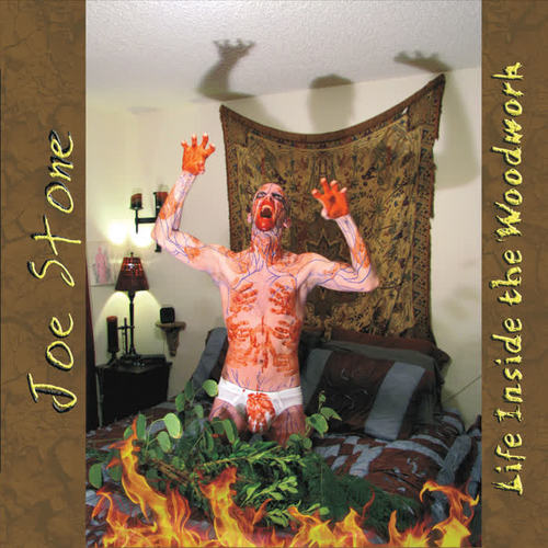 Life Inside the Woodwork (Explicit)