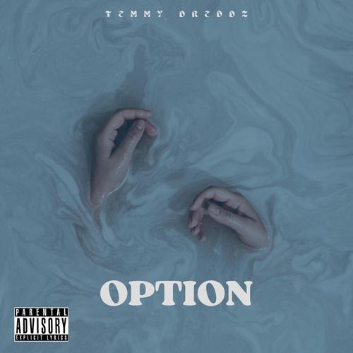 OPTION SPEED UP (Explicit)