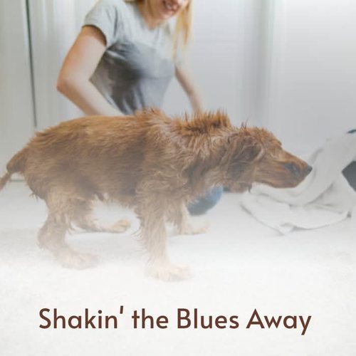 Shakin' the Blues Away