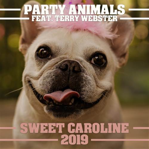 Sweet Caroline 2019