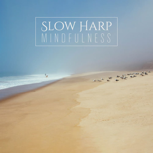 Slow Harp Mindfulness: Celtic Relaxing Music