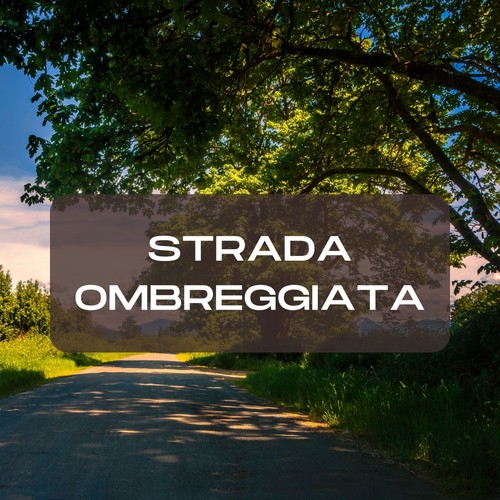 Strada Ombreggiata