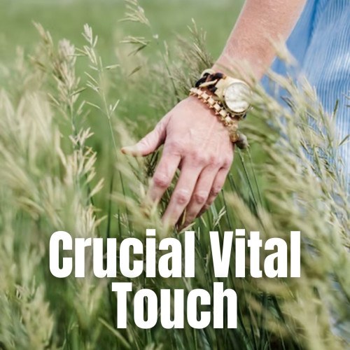 Crucial Vital Touch