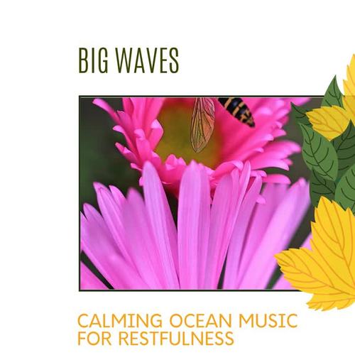 Big Waves - Calming Ocean Music for Restfulness