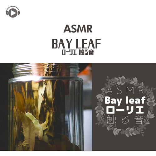 ASMR - Bay leaf ローリエ 触る音