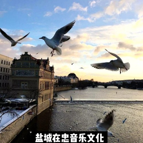 错位时空