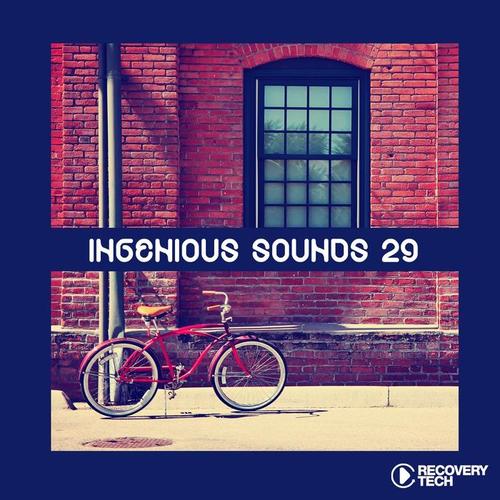 Ingenious Sounds, Vol. 29