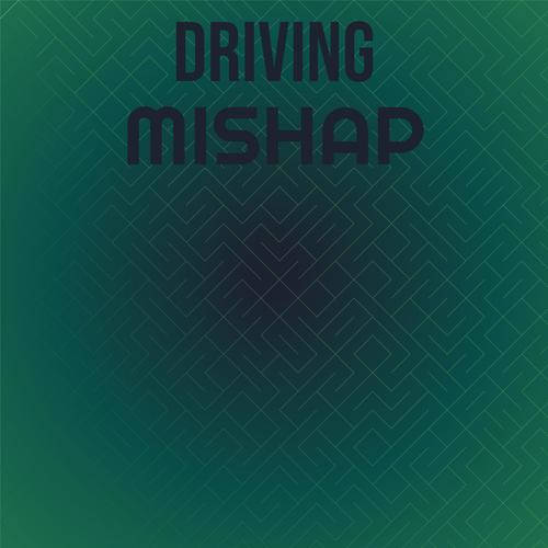 Driving Mishap